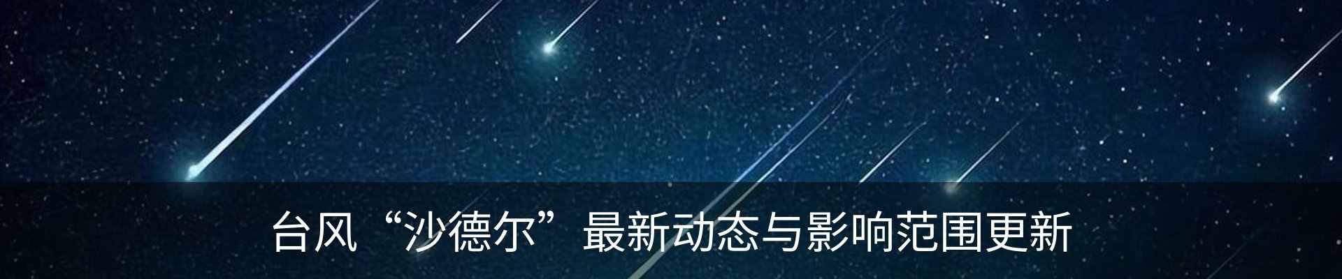 新闻动态